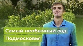 Очень мужское увлечение | «Московские дачи» в саду у Николая Логутенкова