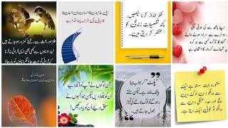 Golden words about life// Islamic quotes in Urdu// Urdu Quotes