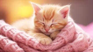 EXTREMELY Soothing Cat Therapy Music - Relax Your Cat! Cat Music - Music to Help Your Kitty Sleep