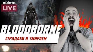 Драка с волчарой | Bloodborne [xDlate LIVE]