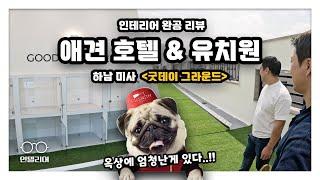 [현장답사] 강아지 호텔 인테리어 완공!! 어마어마한 루프탑 산책로까지?!