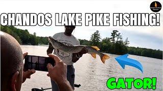 PIKE FISHING AT CHANDOS LAKE!