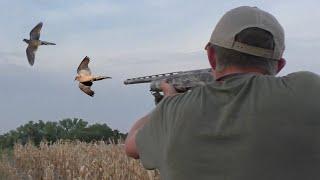 The Dove Were Flying Everywhere! Dove Hunt Fall 2023