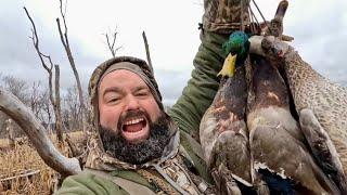 DUCK HUNTING the GRAND PASSAGE! Limits and a Surprise BAND!