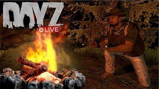 Das ist der härteste DayZ Hardcore Server! DayZ Live