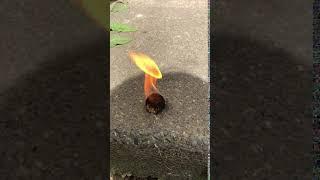 Lightnin Bug Fire Starter