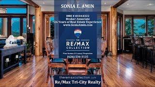 The Re/Max Collection for Luxury Properties