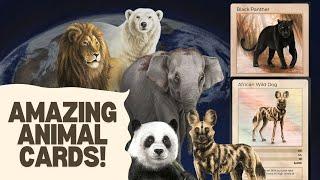 Amazing Animal Cards! - Life TCG Mammals Opening