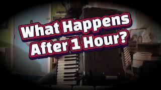 What Happens After 1 Hour of Practicing Harry Potter on Accordion?