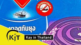 Krankheiten durch Moskitos in Thailand, was kann man tun, um sich zu schützen