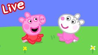 Peppa Pig Full Episodes  Peppa Pig STREAMING NOW  Kids Videos 