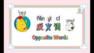 反義詞 | 反义词 | Opposite words in Chinese | 中文加油站