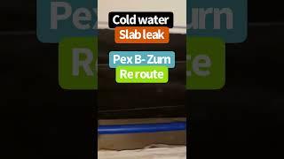 Cold water slab leak, how did our drywaller do? #plumbing #explained #service #repair #leakdinder