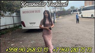 Krasnodar Toshkent Krasnodar avtobus,Краснодар Худжанд Ташкент автобус,ростов ташкент худжанд