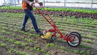 Terrateck - Double wheel hoe cultivator with finger weeder