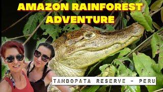 AMAZON RAINFOREST | Tambopata National Reserve | Amazon Rainforest Peru