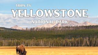 Yellowstone National Park - Top Places to See - Trips TV