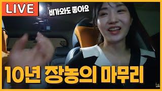 [라이브 고고씽]  10년 장농인데 연수도 한번 받질 않았는데 아이를 위해 베스트 드라이버가 되고 싶은 초보운전자