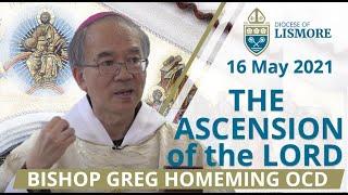 Catholic Mass LIVE Ascension Sunday 16 May 2021 Bishop Greg Homeming Lismore Australia