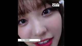 [LIGHTSUM(라잇썸) 유정] 사춘기가 온 보라트니 유정이