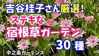 【ガーデニング】6月に咲く吉谷桂子さん厳選のステキな宿根草ガーデンから30種の紹介！中之条ガーデンズ！園芸のプロから学ぶ！【群馬県中之条町】Gardening