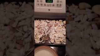 Cooking Video #1, Part 2: Oven Roasted Turkey, Potatoes and Onion