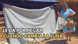 "Lleva 20 años aquí, no es de mi familia"