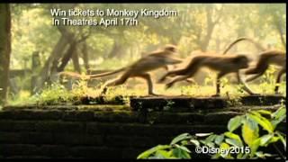 Monkey Kingdom Giveaway