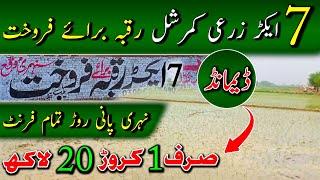 7 Acer Zarai Agriculture Raqba Braye Frokhat | Land For Sale In Punjab Pakistan | EP25