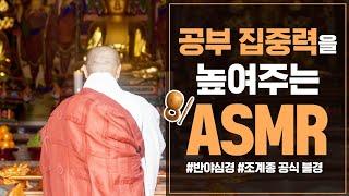 공부 집중력을 높이는 불경  ASMR | 조계종 공식 불경 | 반야심경  공신 강성태