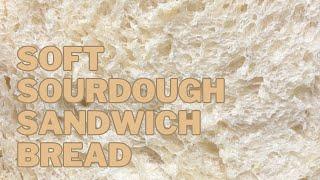 Soft sourdough sandwich bread recipe | step by step beginners guide to making homemade sourdough