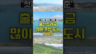 2024년 출산장려금 많이 주는 곳은? #전남도시순위 #출산지원금 #출산혜택 #출산장려금순위 #TOP5
