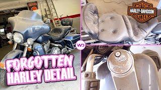 FORGOTTEN TRASHED Harley FIRST DETAIL IN YEARS! Satisfying Motorcycle Detail | ASMR Restoration