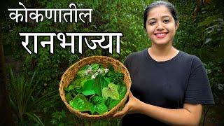 कोकणातील औषधी रानभाज्या | Wild Vegetable | Cooking | Kokan | Village Life