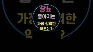 알로에, 가장 강력한 당뇨개선 약초!