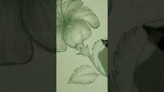 ... #shorts #createcreativitee #flower #shade #shaders #flowerdrawing #hibiscus