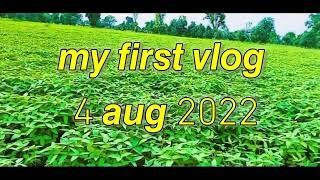 MY FIRST VLOG  || MY FIRST VIDEO ON YOUTUBE || BY FF TEAM VLOGGER