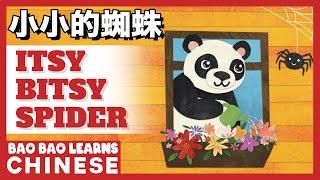  Chinese Songs For Kids | 小小的蜘蛛 | Itsy Bitsy Spider | 儿歌 | Children's Songs |Bao Bao Learns Chinese