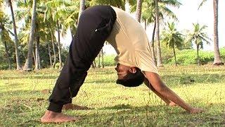 Yoga Asana To Strengthen your Abdomen, Inner Thighs & Hamstrings | Meru Asana | Mountain Pose