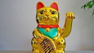 Lucky Cat