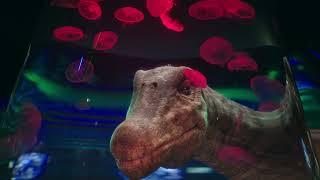 The World’s Largest Dinosaurs | California Academy of Sciences (30)