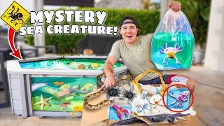 Buying Every STRANGE SEA CREATURE From The FISH STORE For My SALTWATER POND!!