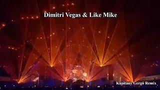 Dimitri Vegas & Like Mike Best of 2024 Mix