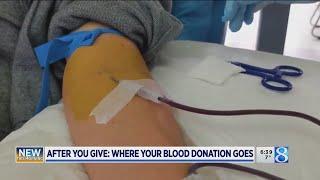 Behind-the-scenes: What happens to your blood donation