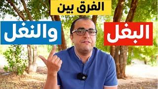 الفرق بين البغل والنغل