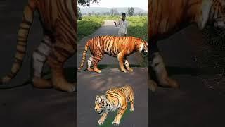 शेर #video #sher #animals #lion #अजगर #wildlife #शर #funny #आदम #zoo