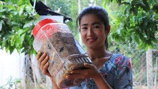 Cambodia Traditional Food Part 2 cooking by countryside life TV.