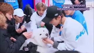 [ENG SUB] 偶像练习生 Idol Producer - Puppy visit: Cafeteria Edition