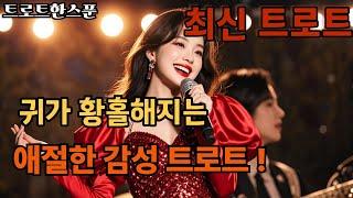애절함과 황홀함의 감성 트로트음악메들리 / 귀가 황홀해지는 트로트 / 트로트한스푼