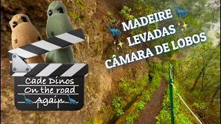 MADEIRE Levadas & CÂMARA DE LOBOS …